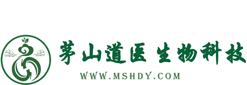 官网主页